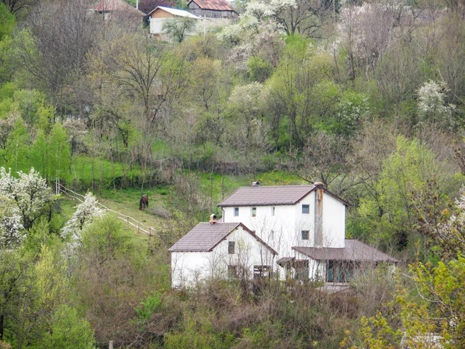 Casa Piscul Lupului Pucioasa Exterior foto